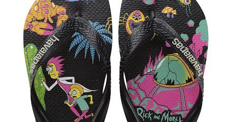 havaianas rick and morty