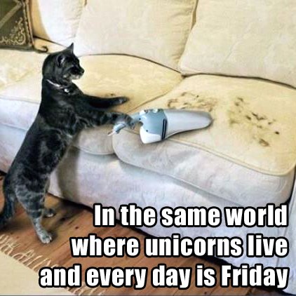 CleanCalc's tweet image. #FridayFunnies #Cleancalculator - If only my cats cleaned up after themselves...
