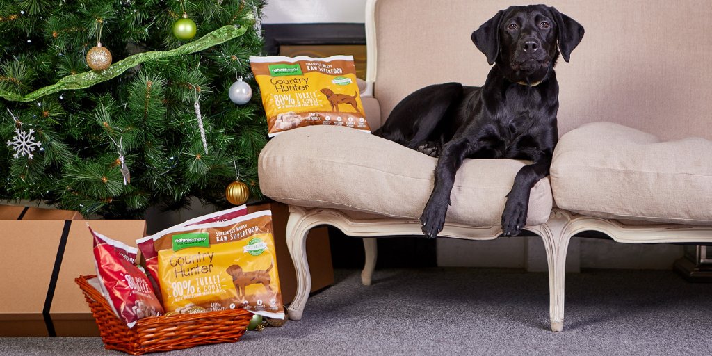 VeggieHow's tweet photo. RT https://t.co/XvoEGcqP1U Do you want to win a selection of @naturesmenu Country Hunter pet food? With new Turkey & Goose and Grass-fed Beef raw nuggets included, the prize is the ideal nutritiou… https://t.co/NhmjqYvYS0 #VeggieHowRaw #BackToEdenRaw #VeggieHow