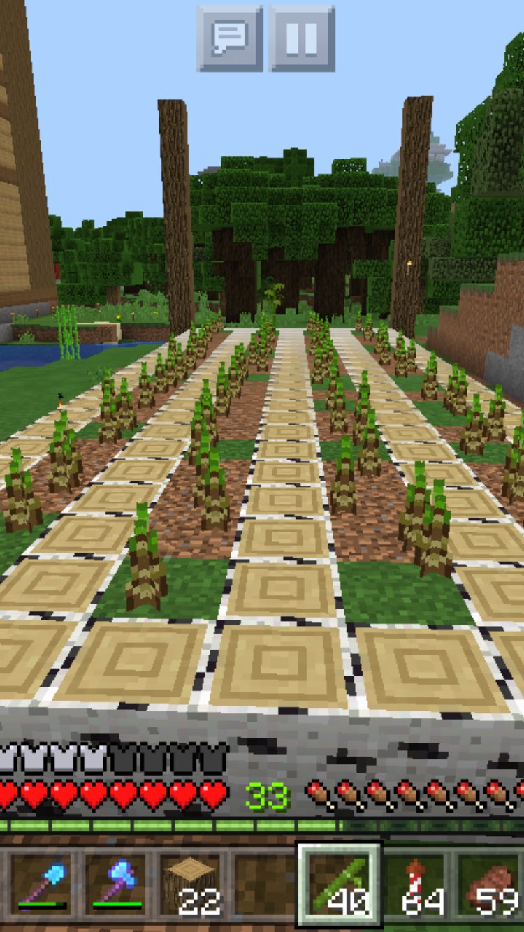 Minecraft Ani M 今夜の作業 竹を増やす 前回手に入れた竹を骨粉で増やし 植林場ならぬ竹林場 を作ってました 夜でも壁に付けた一本の松明で成長してたから そんなに光源は必要無いのかな 天井が低ければ隣に松明を置かずに天井照明だけで良さそうな