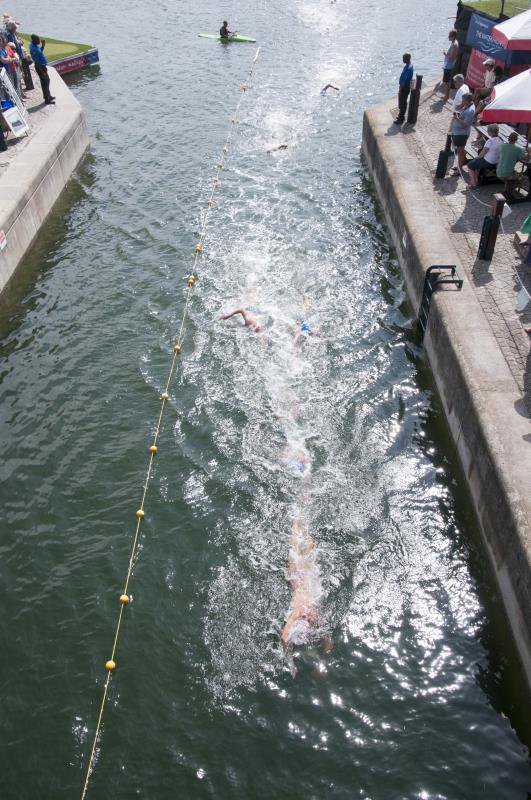 Knysna Splash tweet media