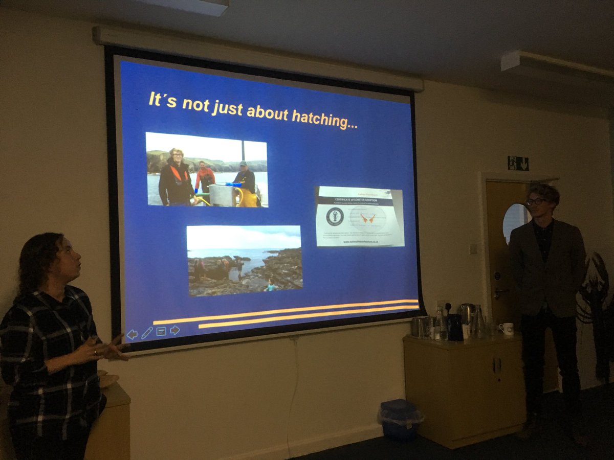 TheLobsterDr's tweet image. Technicians Ruth, Callum and @ChrisWeston93 show us all the progress they’ve made establishing juvenile production (and stakeholder relationships) in our Hatchery-in-a-box in Newlyn Harbour. @PadstowLobster #ChristmasLecture 🎄 🦀