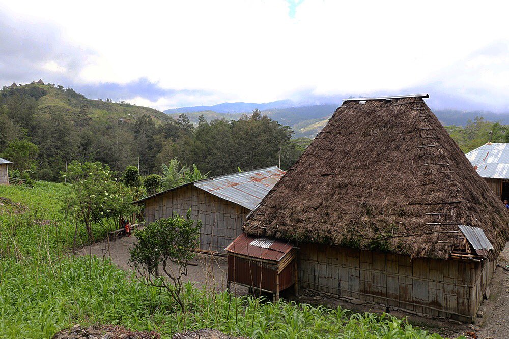 _positive_media's tweet photo. #Letefoho looking lovely.
#TimorLeste #ExploreTheUndiscovered #Friyay #FridayFeeling #FridayMood #FeelGoodFriday #FlashbackFriday #travel #wanderlust #mountains #villagelife
@Dili_Matt @InfoDili @KCintheNYC @tanushrao @EngagingDev @timorfurakgroup https://t.co/vi0sKSS9gm