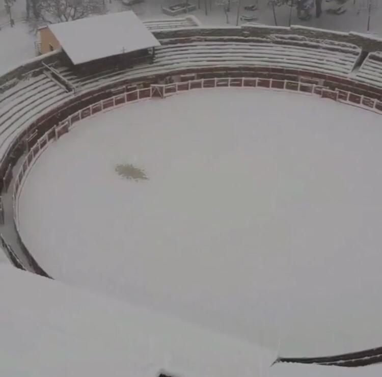 APTorosBejar's tweet photo. Las nevadas del año pasado nos dejaron esta bonita foto de nuestra plaza #LaAncianita.
#Nieve #TorosBejar #AnuteaAPTorosbejar #Aficion https://t.co/KfyczKNxQI