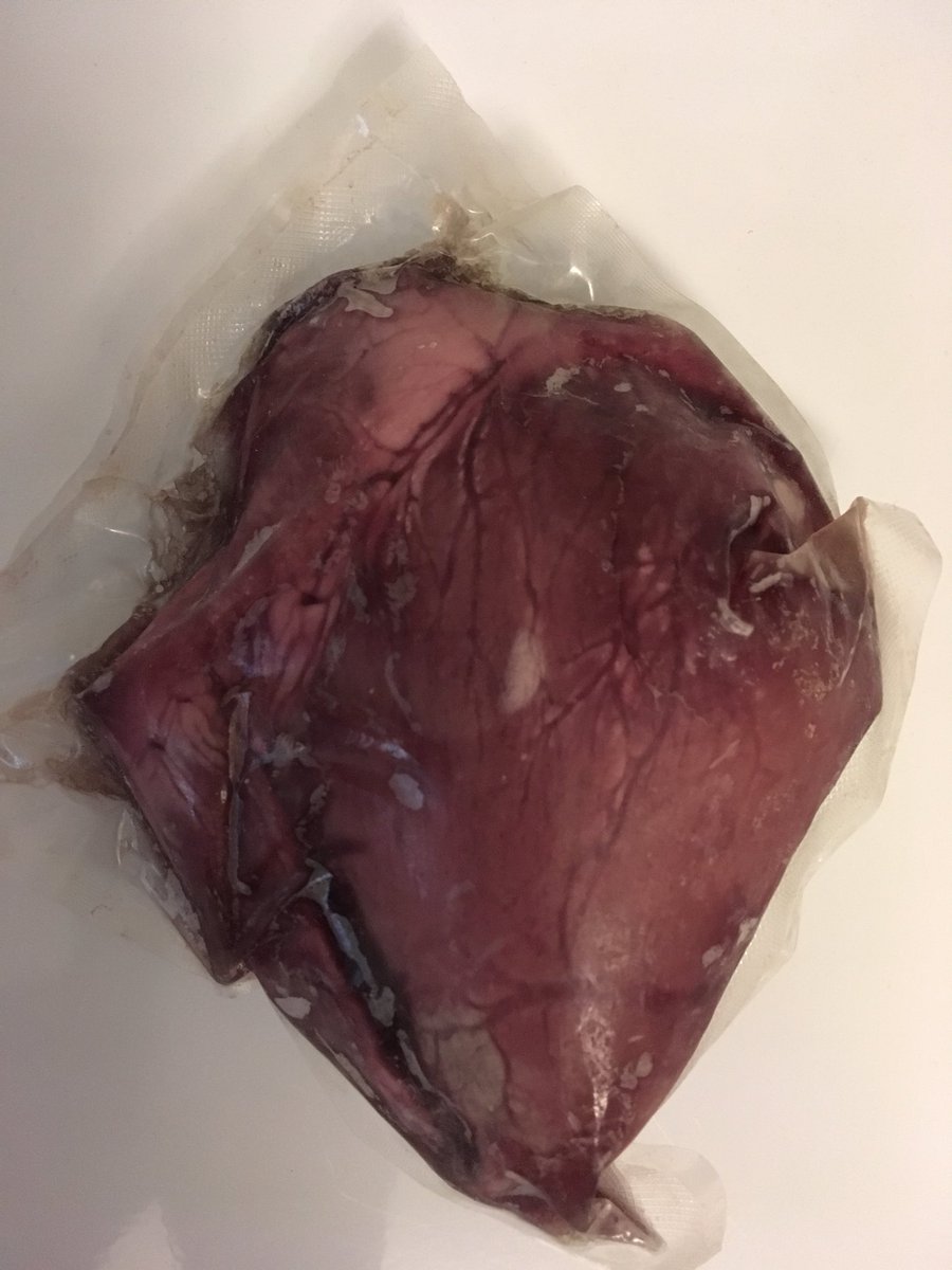 #POCUS teachers:

Need anatomical model for echocardiographic “cuts”?  Your butcher can be an excellent resource. 

In #ottcity , my friend ⁦<a href="/AndyTheButcher_/">Andrew Muckleston</a>⁩  can hook you up!