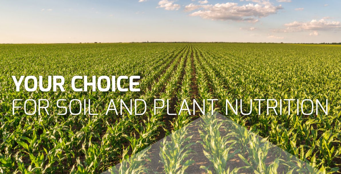 DAR_Ingredients's tweet photo. Our organic #Fertilizer solutions: A wide range of natural & fortified #Organic nutritional products for many applications:
For organic farms, nurseries, #golf courses, sports #Turf lawns & landscapes: https://t.co/R81zLXxrkI
#NatureSafe #Ecoson #Sonac #GivingNatureaSecondLife https://t.co/E2AwKAoiMS