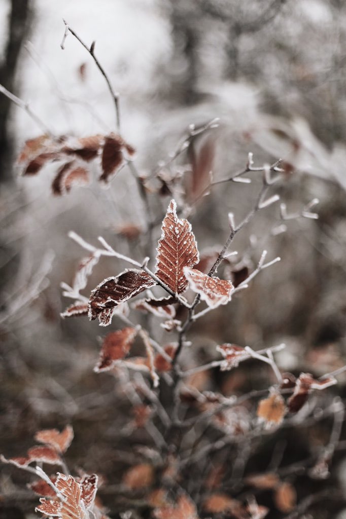 the in between: where the seasons meet.