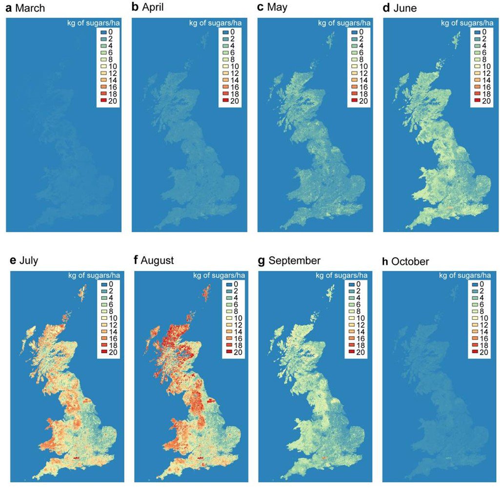 ClareRowland_UK's tweet photo. #LCMapps Baude et al (2016) used LCM and data on nectar phenology for different habitat types to map the fall and rise of floral resources through the year. Producing the maps below..
For more details see: https://t.co/pwvkMXQq8Z https://t.co/UXE4SLapWo