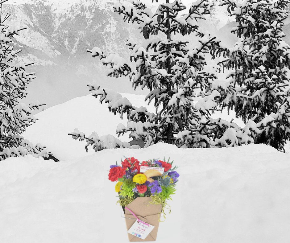 LuckyYuFlowers's tweet photo. Moguls were sweet! Thanks for that awesome ski weekend!  https://t.co/EGzEe82c2T  Thank U Promo: LY13 for 13% off.

#Luckyyu #SpreadTheJoy #only25dollars #personalizedgift #simsburyct #ct #ctflowers #madeintheusa #affordable #adorable #easytocarefor https://t.co/p4KYUI8lZz