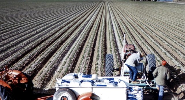 perchebio's tweet photo. Un'analisi delle strategie di marketing che hanno fatto la crescente fortuna della Monsanto, rendendo il glifosato l'erbicida più usato al mondo e onnipresente nell'ambiente, negli alimenti e...nell'urina dei consumatori .https://t.co/9ZfIMYuZiz https://t.co/Th0ra3mNJ1