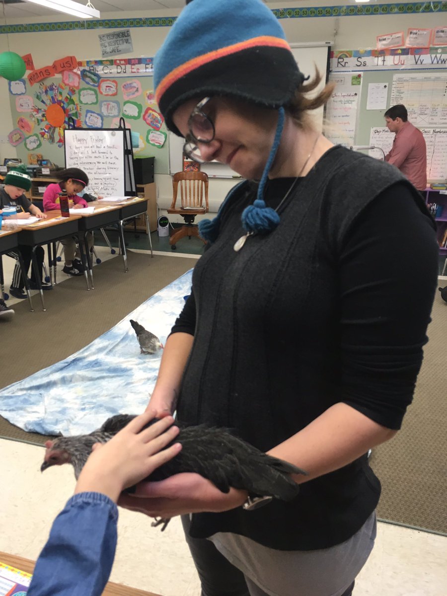 J.J. Flynn Elementary School tweet media