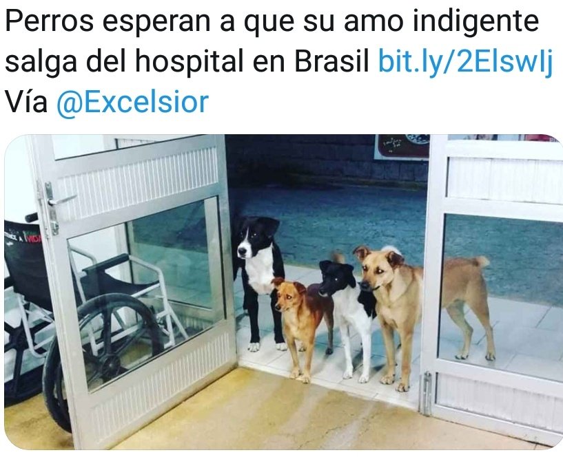 LRossini7's tweet image. Quien dice que no son los mejores del mundo, solo ellos saben acerca del amor sincero y de la verdadera redención por uno, mil gracias por los angelitos sin alas ❤️