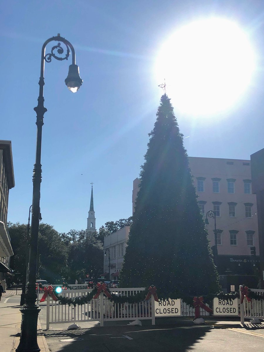 Savannah Dream Vacations tweet media