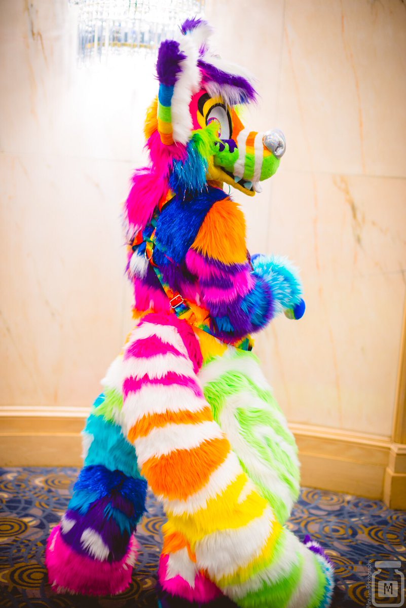 sparkle dog sparkle dog