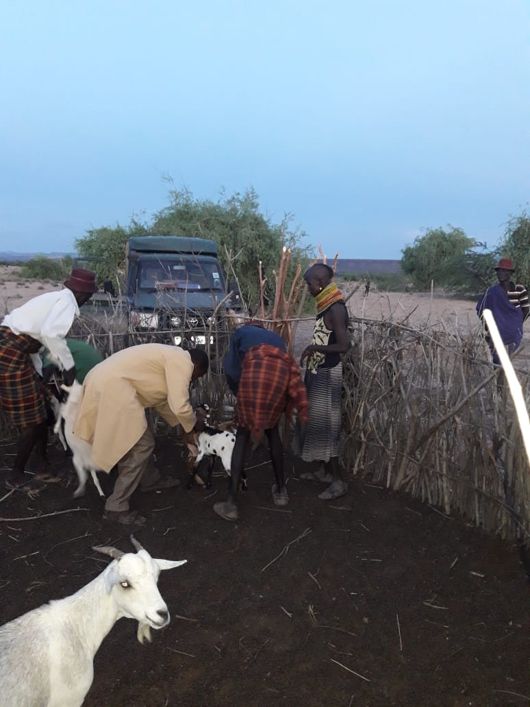 Min. of Agriculture, Pastoral Economy & Fisheries tweet media