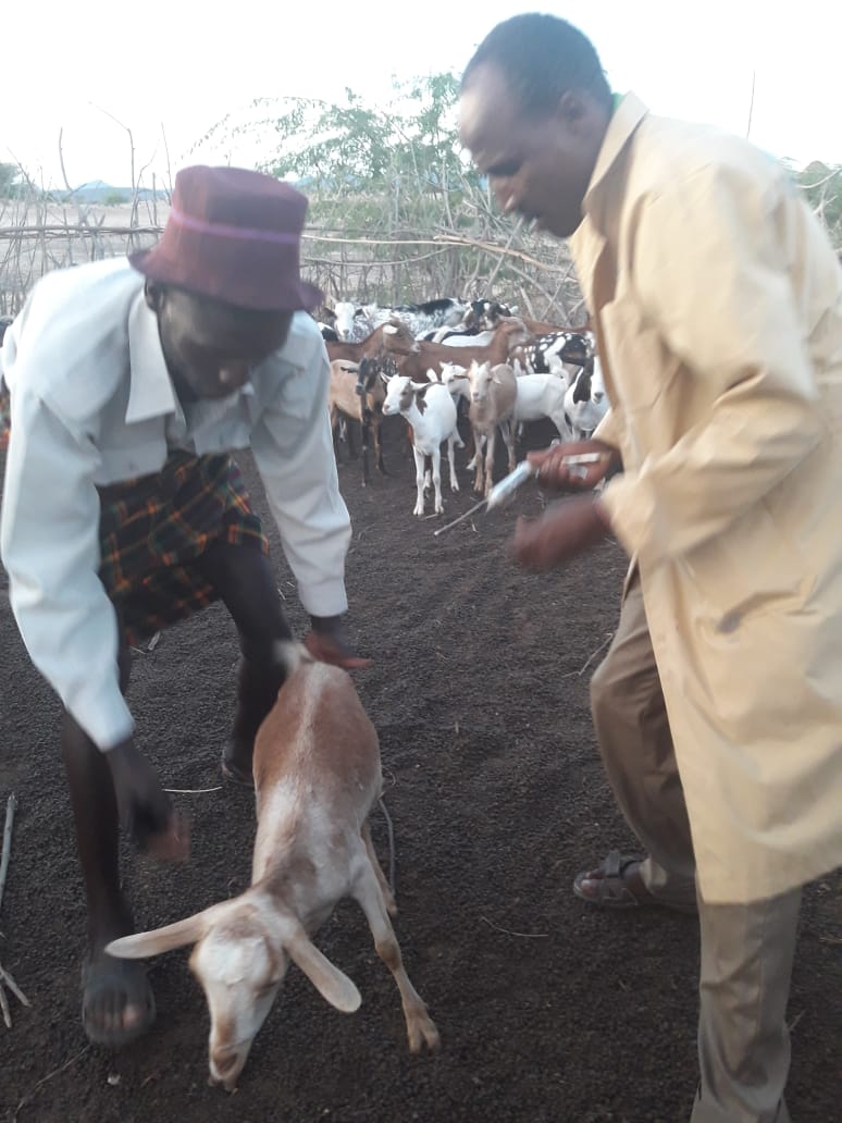 Min. of Agriculture, Pastoral Economy & Fisheries tweet media