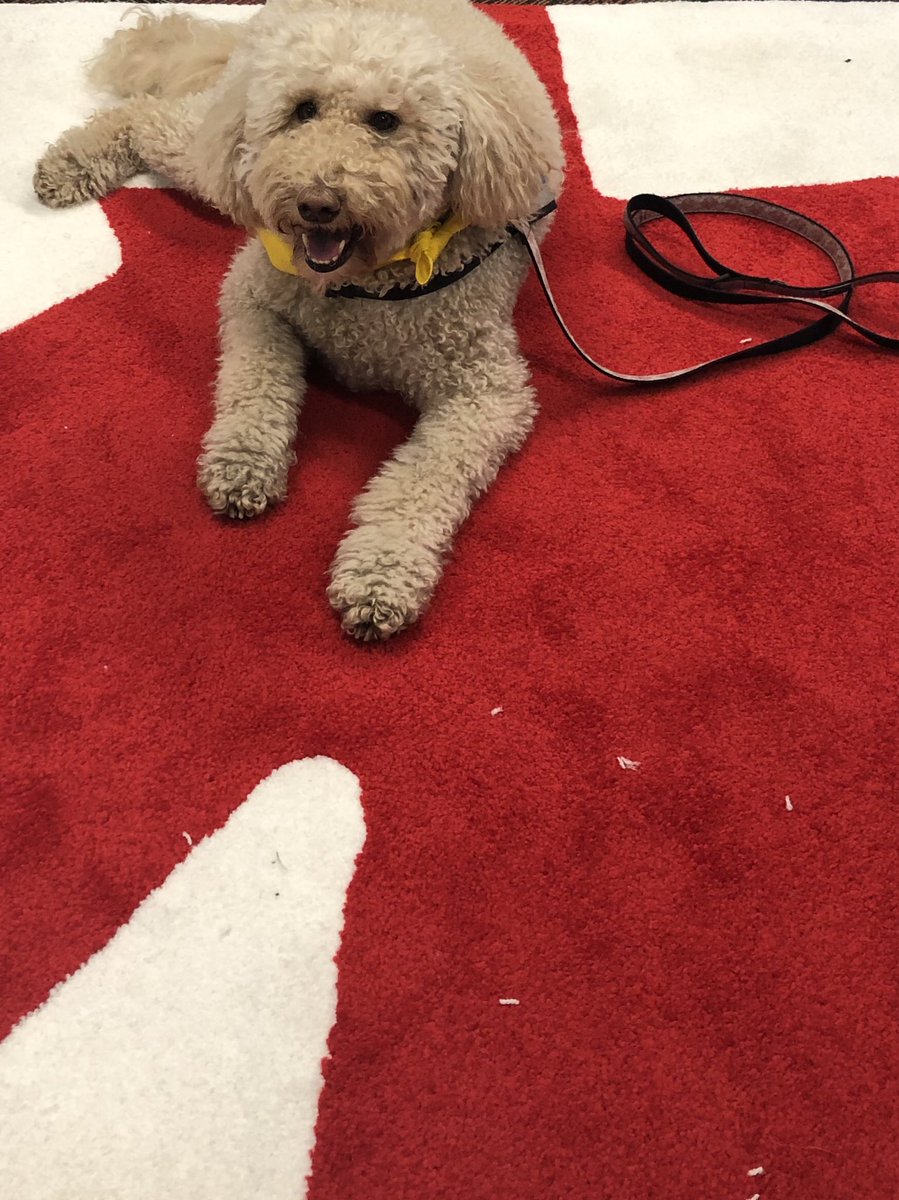 MichelleK2's tweet image. Thank you @AssocForum and @MeetVancouver tawny and I had a great time meeting the folks at the 30th annual holiday showcase at @HyattChicago