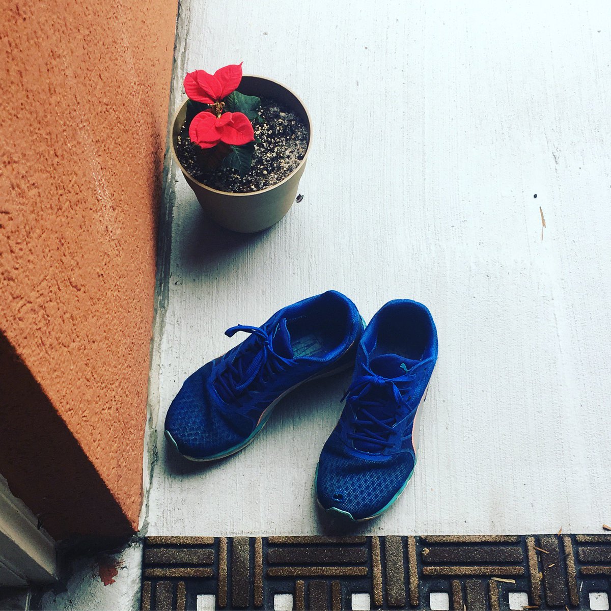 katydid005's tweet image. #shakeoutrun! @PUMASouthAfrica @TeamMassmart #marathon