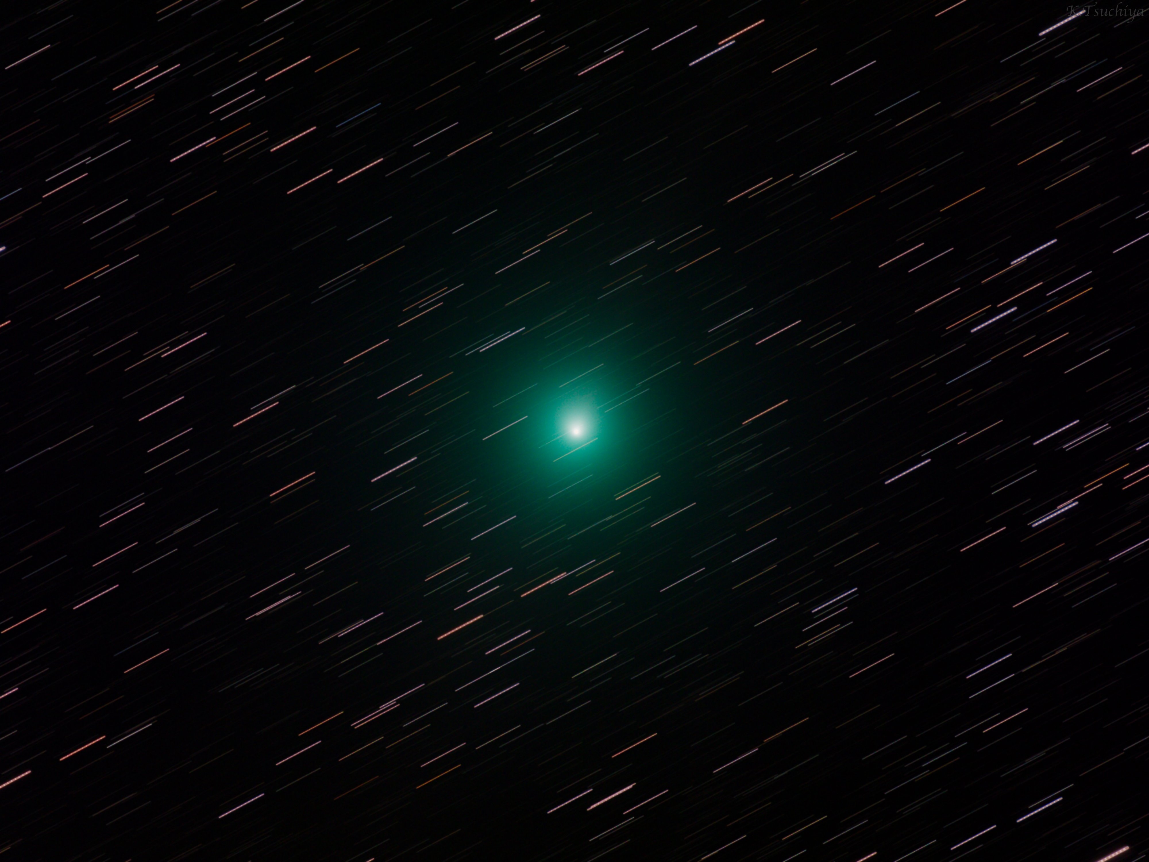 土屋憲一 核を取り囲む緑色のコマが美しいウィルタネン彗星 46p 核をロックオンして長時間撮影したので 恒星とは異なる軌道で飛んでいる事が分かります 残念ながら彗星らしい立派な尻尾は見えない 地球と正反対方向に伸びているので けど 双眼鏡や