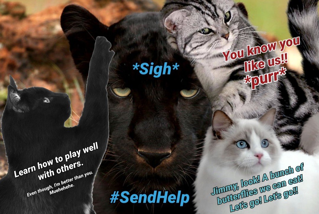 When nobody cares that Jaguars are lone felines. Happy #FelineFriday! 

[@Nekospirit21 ⁽ᶜᵒᵘˡᵈᶰ'ᵗ ᵗᵃᵍ ʸᵒᵘ ᶤᶰ ᵖᶤᶜ⁾]