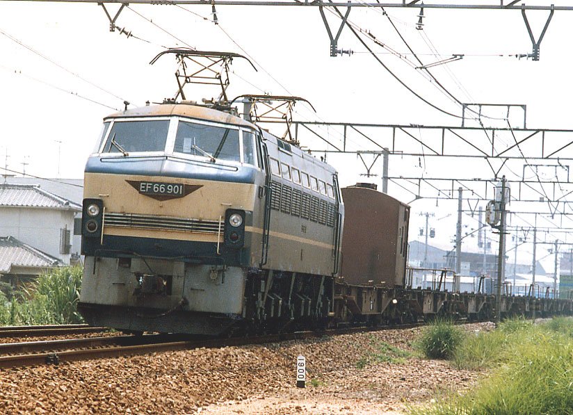 EF66 901様　確認用 JR貨物 EF66 901 (EF66形) 車両ガイド | レイルラボ(RailLab)