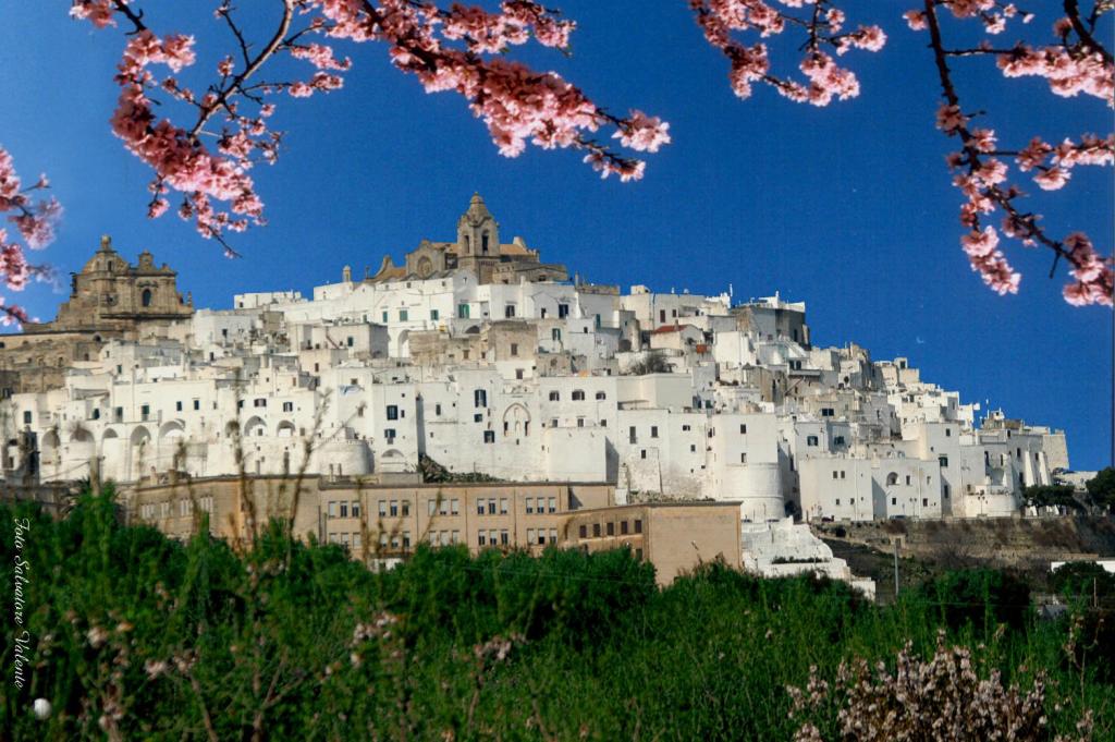 Hand Picked Puglia tweet media
