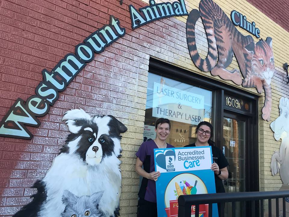 WestmountAnimal's tweet photo. #Kindness &amp; #generosity are the social glue that connects us! Thank you everyone for your generous contributions to this year's BBB Accredited Businesses Care Food Drive for the Calgary Food Bank. #communityspirit #bbbfooddrive #loveyyc #yycpets #yycfoodbank #kensington https://t.co/6KGlAc7jgP