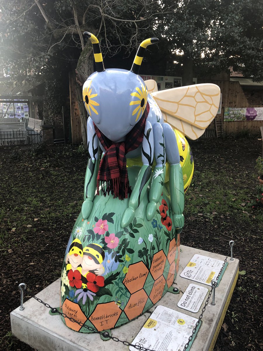 DIDSbee's tweet photo. Don’t forget to wrap up warm during these chilly afternoons 🥶 🐝 https://t.co/q1GVsVs6he