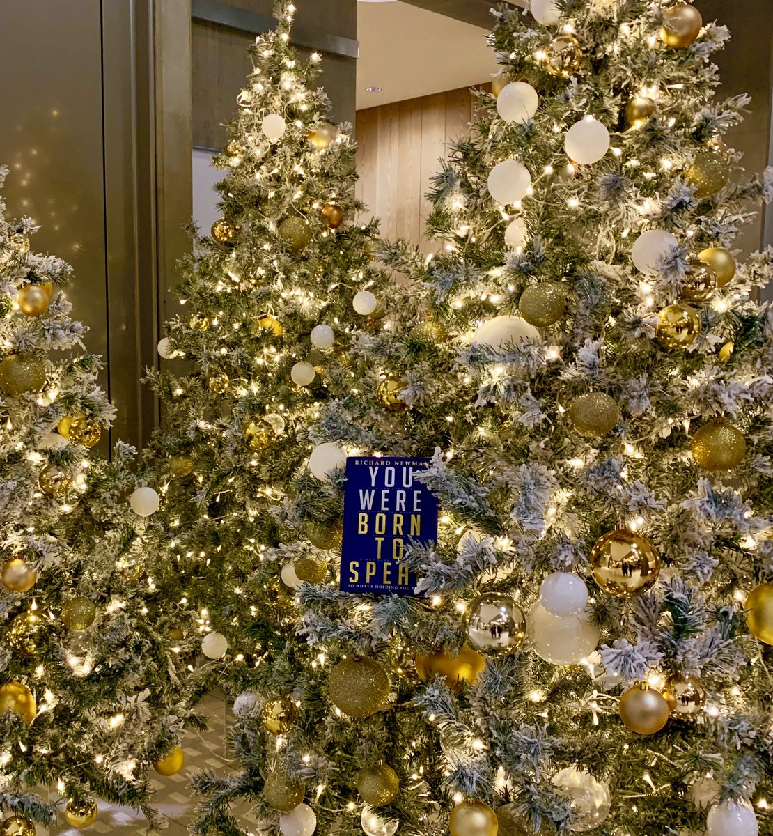 carlynewilson's tweet photo. A great #book launch earlier this week, lots of reading to do over #Christmas! All proceeds go to #charity https://t.co/DuRtG4tVqj  #borntospeak @RNewmanSpeaks https://t.co/tfQSqkVY4N