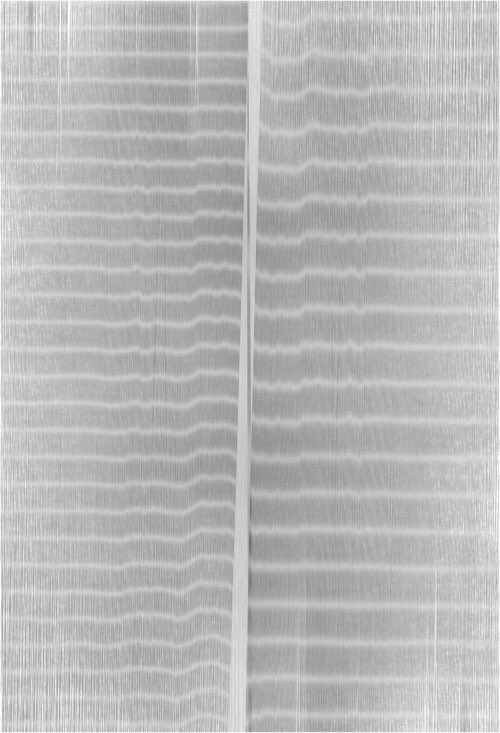 ldsoa's tweet image. Looking for something to do this weekend? New work by Eileen Wallace is on exhibition at Ciné in Athens. Be sure to see this solo exhibition before December 28th! #artatuga #thedodd #athensga #printmaking #letterpress @cineathens