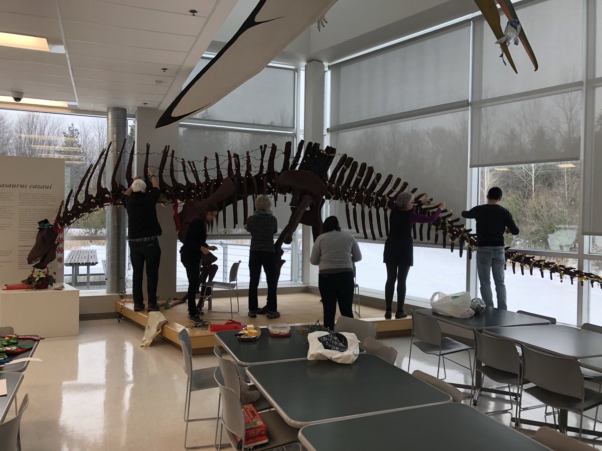 I think we’re going to win the Xmas decorating contest <a href="/MuseumofNature/">Museum of Nature</a> this year... #CMNPalaeo