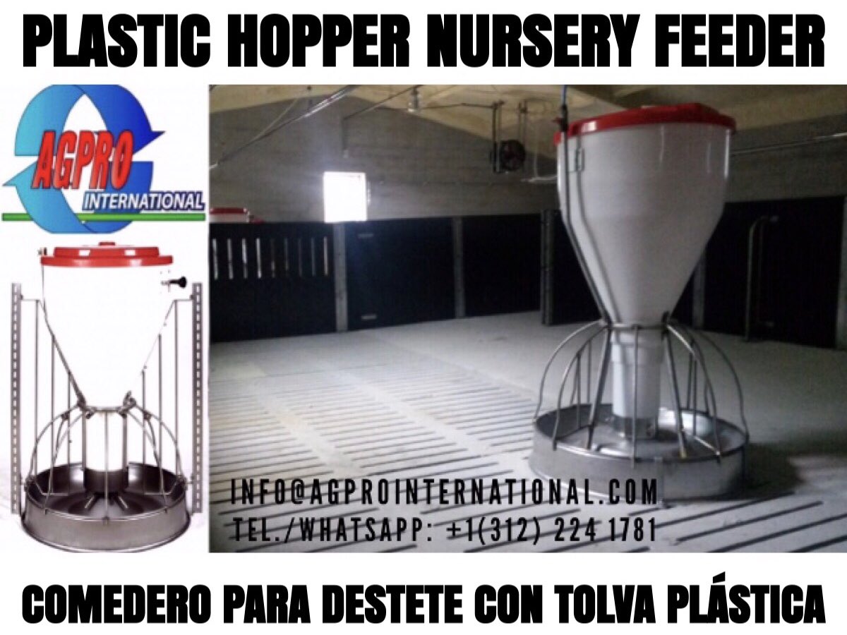 Agpro_Int's tweet image. Nursery hopper feeder with stainless steel round plate. Installed inside the pen or between pen fence divider.

Comedero tolva con plato redondo de acero inoxidable. Instalado dentro del corral o entre la reja divisoria del corral.