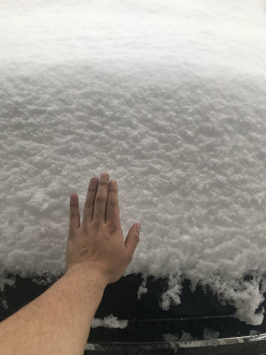 rhousty's tweet photo. Wágḷísḷa/Bella Bella is currently a winter wonderland! #thatstoomuch #snowday #bellabella #GreatBearRainforest https://t.co/s5Part2gLZ