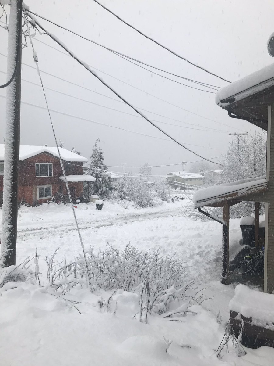 rhousty's tweet photo. Wágḷísḷa/Bella Bella is currently a winter wonderland! #thatstoomuch #snowday #bellabella #GreatBearRainforest https://t.co/s5Part2gLZ
