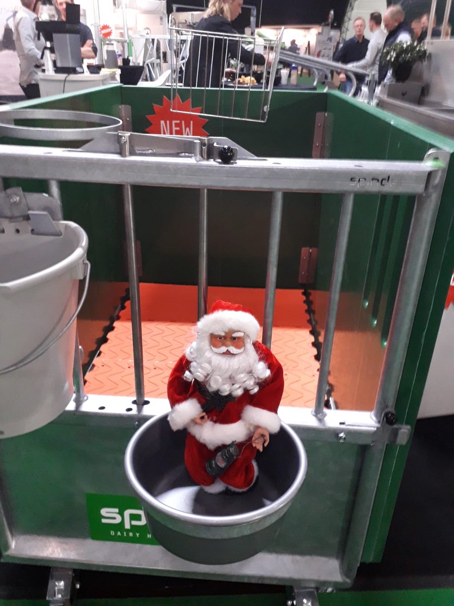 EwoudvdW's tweet photo. Flip de Beer, een bekend begrip bij de kleuters. 
Leerling in groep 7/8 was gehecht aan de Kerstman die in de klas pronkt, zijn nieuwe vriend. Dus dit weekend mee naar huis.. ‘Mag dat?’ Tuurlijk! 
De eerste activiteit: Mee naar de landbouwbeurs! 🤣 #prachtig https://t.co/O8prsCBJoQ