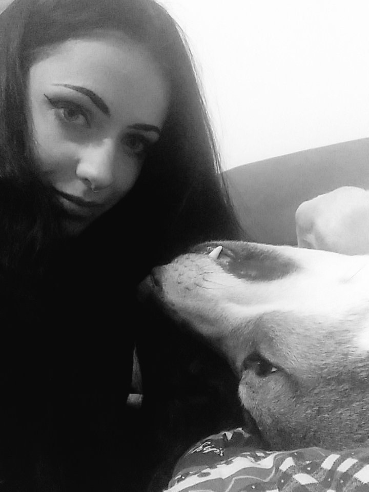 Korwent_Ink's tweet photo. En tête à tête ce soir 💜
#clt #wolfdog #babydog #missmymen https://t.co/zvkMGUxmEA