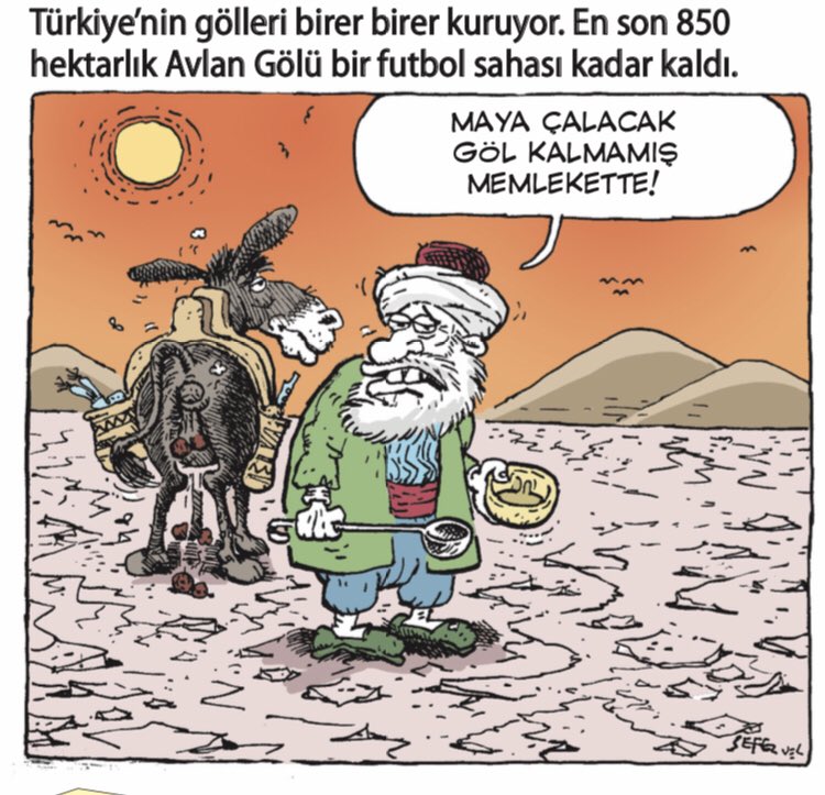 Kedi Dili on Twitter "Göle hasret Nasrettin Hoca! LeMan…