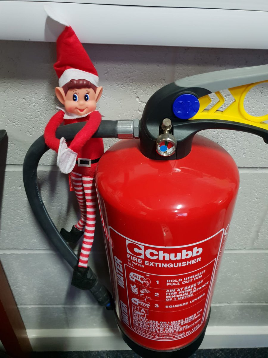 Don't try this at home...
Getting into trouble...
#teamernulf #naughtyelf