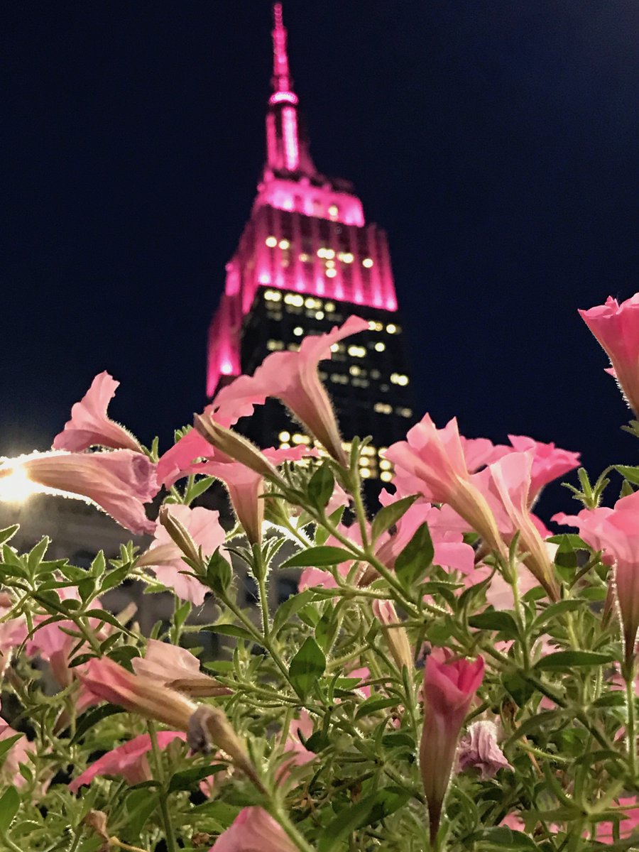 EmpireStateBldg's tweet photo. Love is in the air… literally!

Enter our V-Day contest now for the chance to exchange your “I do’s” (or “I do again”) atop our tower on 2/14: https://t.co/aDqTSZhfA6 #ESBeMine

📷: Kellie Wilson https://t.co/EVA0GU1ejO