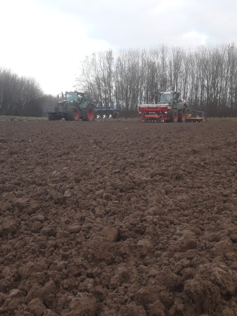 williamvankoeve's tweet photo. Laatste stukje geploegd en winter tarwe gezaaid voor dit jaar https://t.co/rgIYgtWeWo