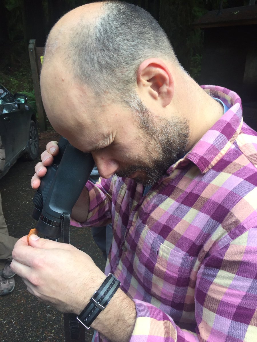 Andy Kern looking at springtails on a mushroom.