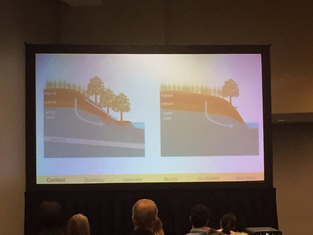 pHred_cheng's tweet image. go @RichardMarinos! Awesome work on connecting riparian zone function with geomorphological controls using cool remote sensing and clustering techniques #basulab #AGU18
