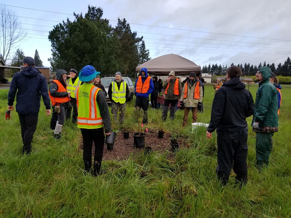 RexiusLandscape's tweet image. Help @friendsoftrees beautify NW Eugene by planting trees and shrubs this Saturday, 12/15. Wear appropriate clothes and footwear (no open toes); gloves and tools will be provided. bit.ly/greenspacetree… #eugene #treeplanting #greenspace