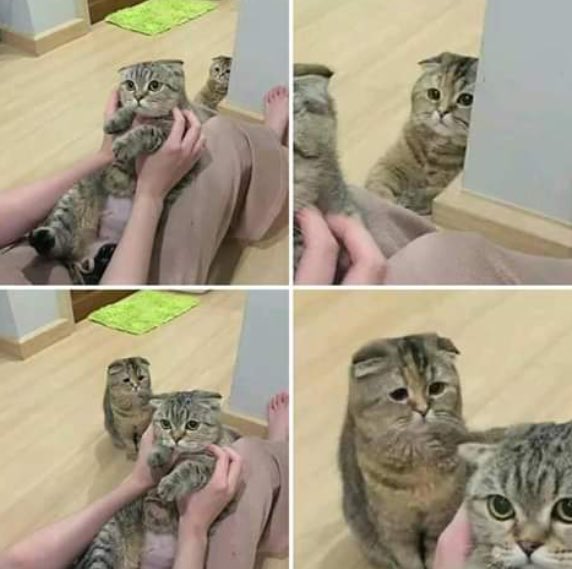 DuZuTe2WwAEh2Rg.jpg:large