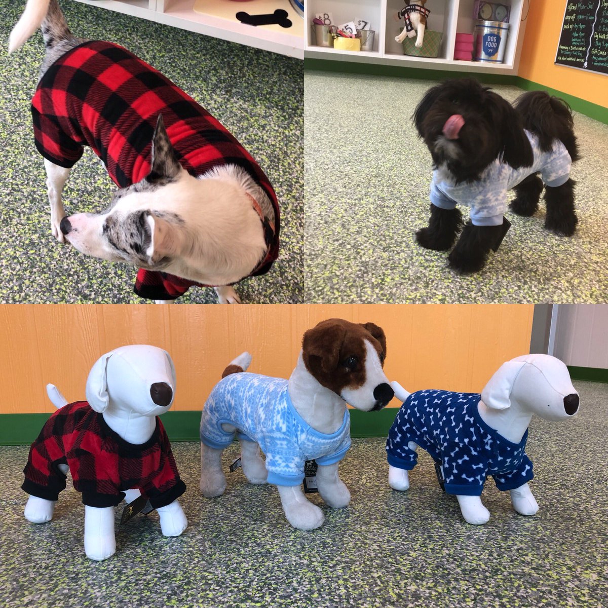 Zeus Place On Twitter Puppy Pajama Party Checkout These Cute