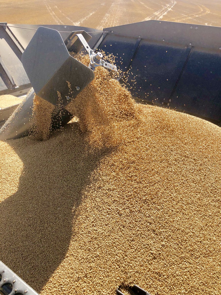 Seed cleaning done ✅