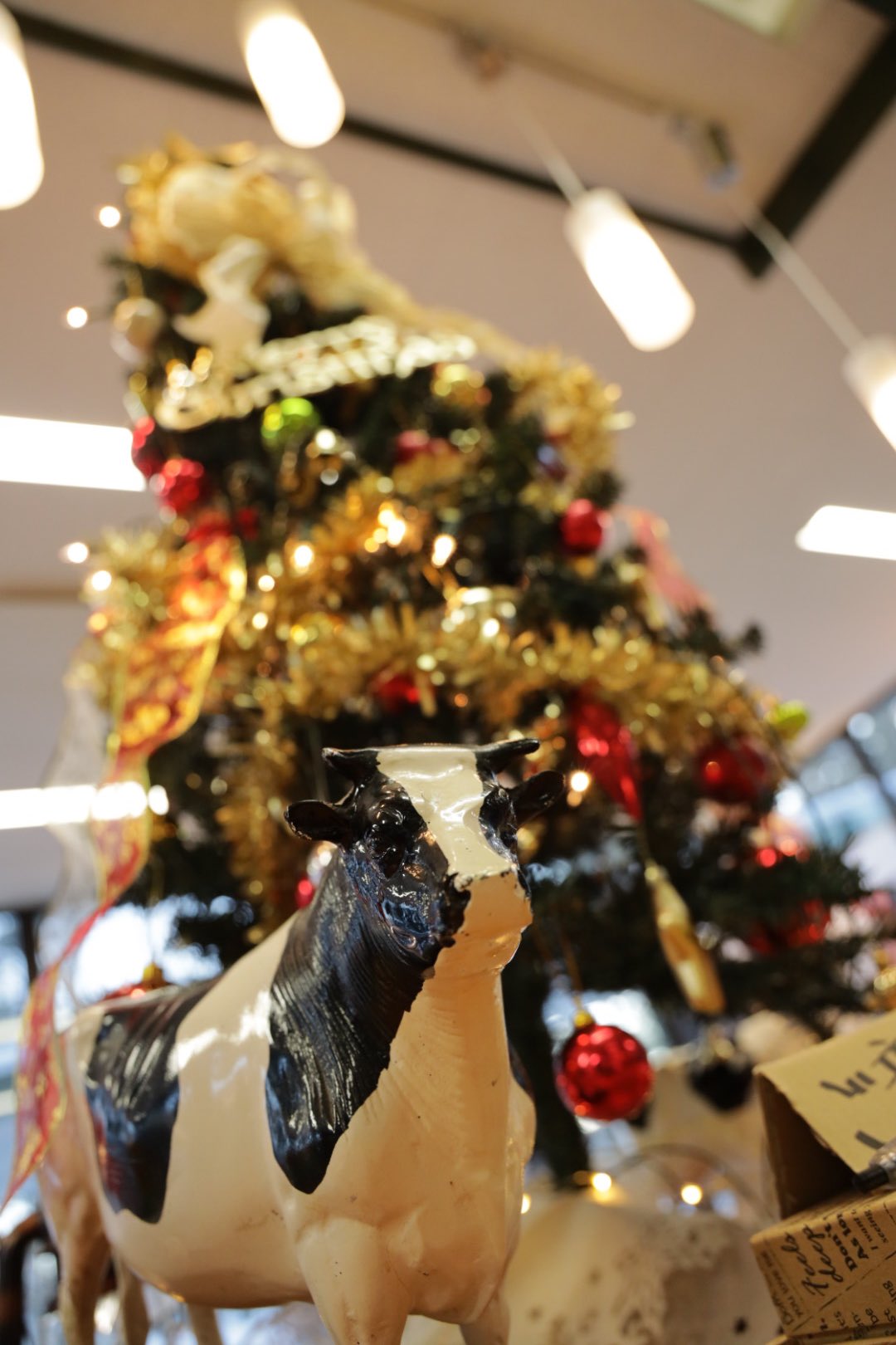 ファームデザインズ帯広畜産大学店 今年度最終日の12月24日は夜クリスマスイベントがあります 完全予約制で予約は本日までです 同性同士やグループ お一人でのご利用です カップルでのご利用は出来ません T Co 2okm1xhzeh Twitter