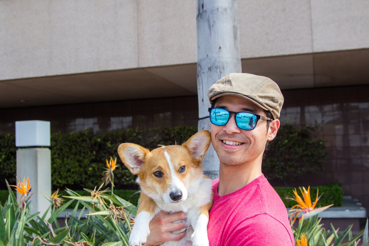 PoorCorgiActor's tweet image. Good times! Can’t wait till we see you again! LA in March Yo! This time we will have more for you to carry... and then this circle of life will be so much clearer to all! #CaliforniaBound #CorgisInFilm #K9Actors #burbank #LegendsPuppies