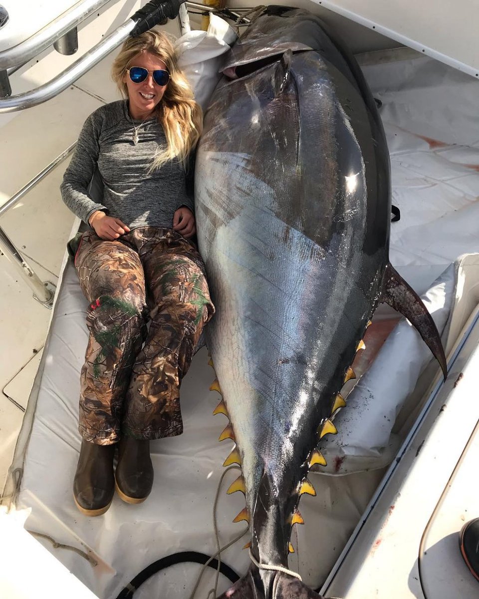CoastalFishingC's tweet photo. Tuna: "Should have stayed in schools"
.
Pro Team: @blonde_gypsea:
.
#bluefintuna #bluefin #tuna #tunafishing #bluefintunafishing #tunafishing #offshore #offshoretuna #offshorefishing #offshoretunafishing #bigfish #fishing #tunalure #tunarod #tunameat https://t.co/5La8SXdmon
