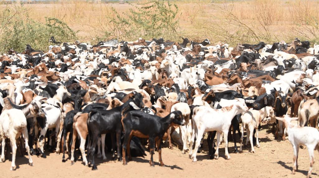 Min. of Agriculture, Pastoral Economy & Fisheries tweet media